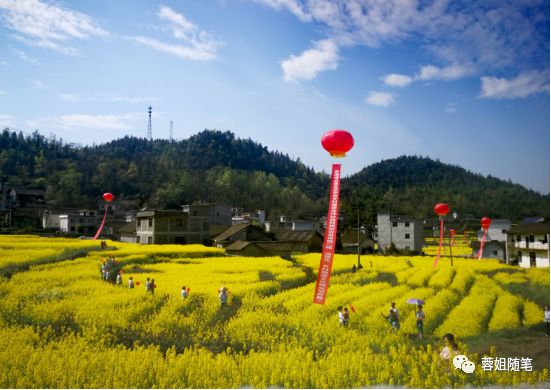 香港恩施富硒茶哪里买（湖北恩施富硒茶）-硒宝网