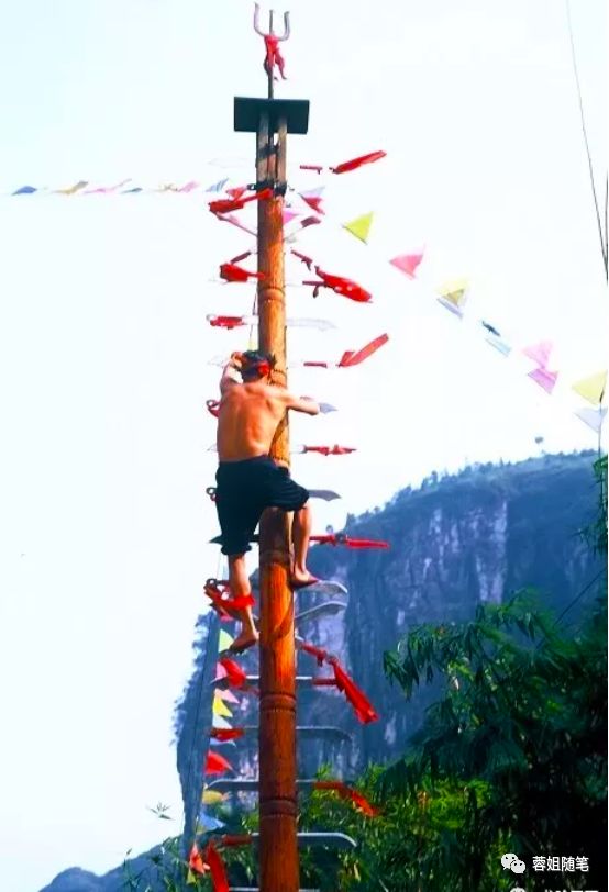 香港恩施富硒茶哪里买（湖北恩施富硒茶）-硒宝网