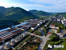 香港恩施富硒茶哪里买（湖北恩施富硒茶）-硒宝网