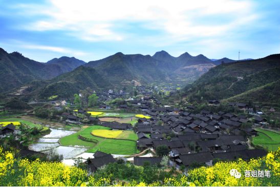 香港恩施富硒茶哪里买（湖北恩施富硒茶）-硒宝网