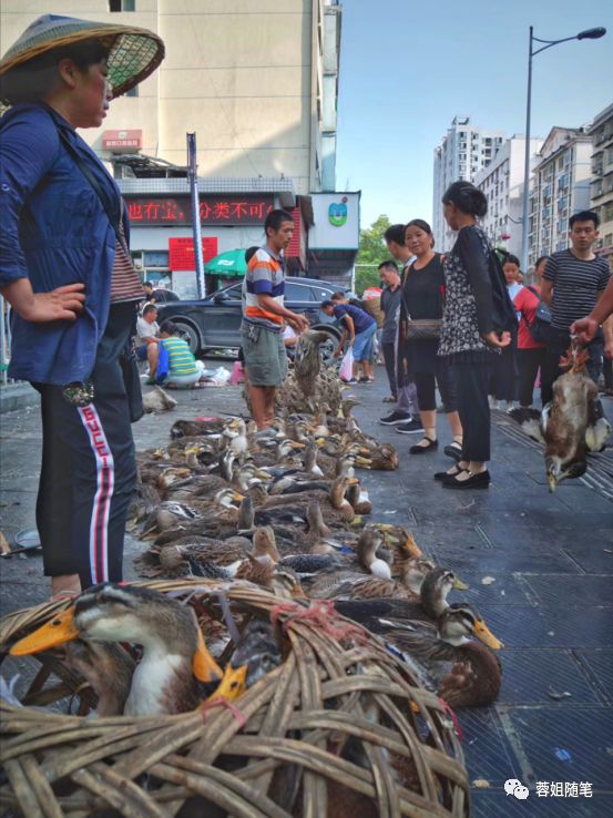 香港恩施富硒茶哪里买（湖北恩施富硒茶）-硒宝网