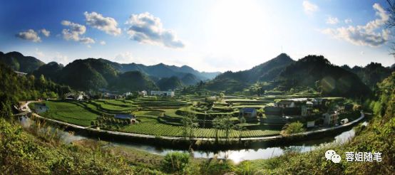 香港恩施富硒茶哪里买（湖北恩施富硒茶）-硒宝网