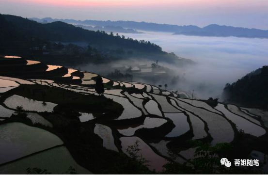 香港恩施富硒茶哪里买（湖北恩施富硒茶）-硒宝网