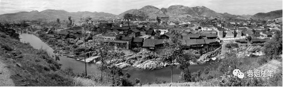 香港恩施富硒茶哪里买（湖北恩施富硒茶）-硒宝网