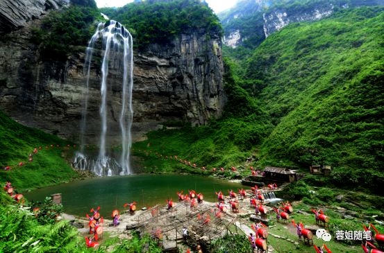 香港恩施富硒茶哪里买（湖北恩施富硒茶）-硒宝网