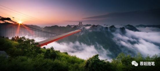 香港恩施富硒茶哪里买（湖北恩施富硒茶）-硒宝网