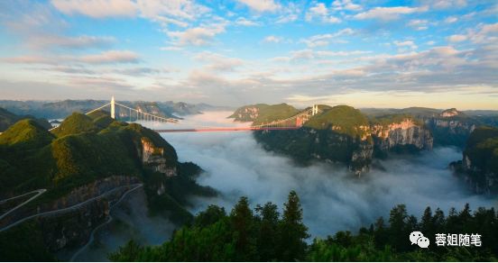 香港恩施富硒茶哪里买（湖北恩施富硒茶）-硒宝网