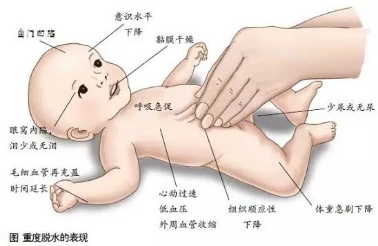 儿童如何补锌（儿童补锌的正确方法）-硒宝网