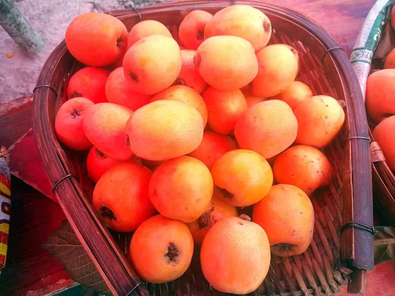 什么是有机富硒枇杷茶（枇杷养生茶）-硒宝网