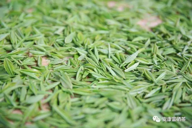 陕西平利富硒绞股蓝茶（富硒绞股蓝茶的功效）-硒宝网