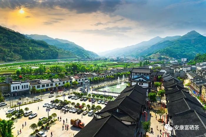 陕西平利富硒绞股蓝茶（富硒绞股蓝茶的功效）-硒宝网