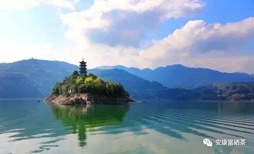 陕西平利富硒绞股蓝茶（富硒绞股蓝茶的功效）-硒宝网