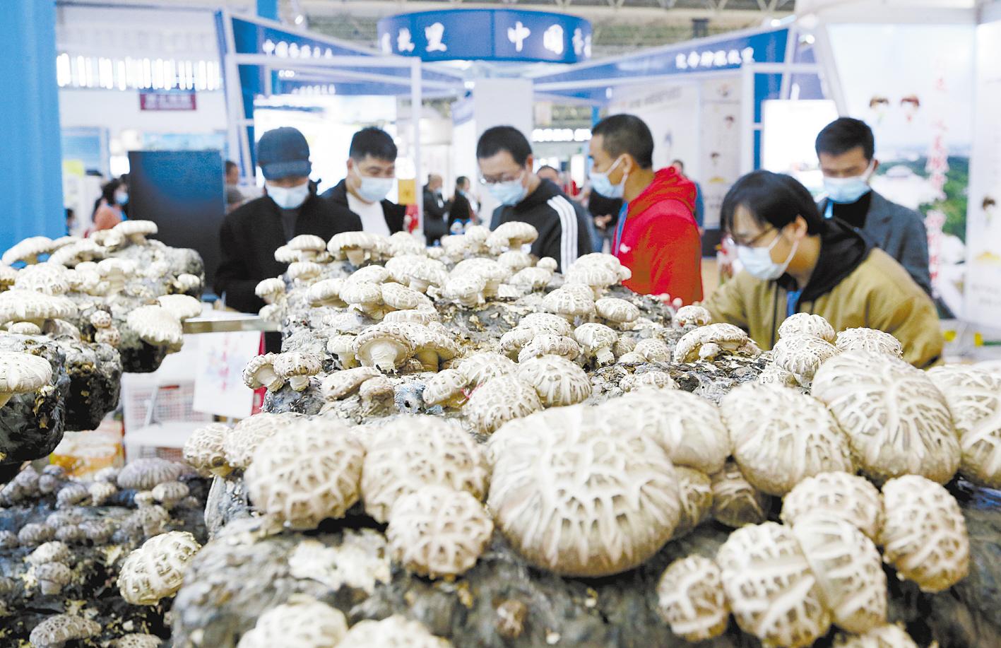 武昌好喝的恩施富硒茶（武汉恩施富硒茶）-硒宝网