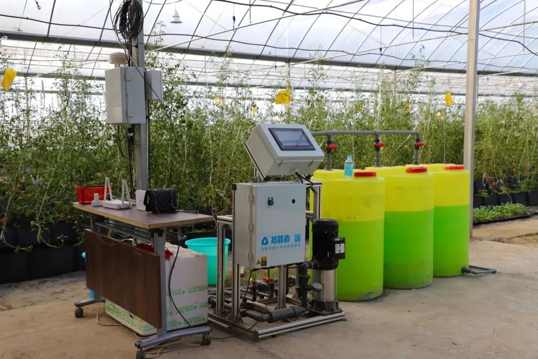 销售紫阳富硒茶的店铺（紫阳富硒茶的广告词）-硒宝网