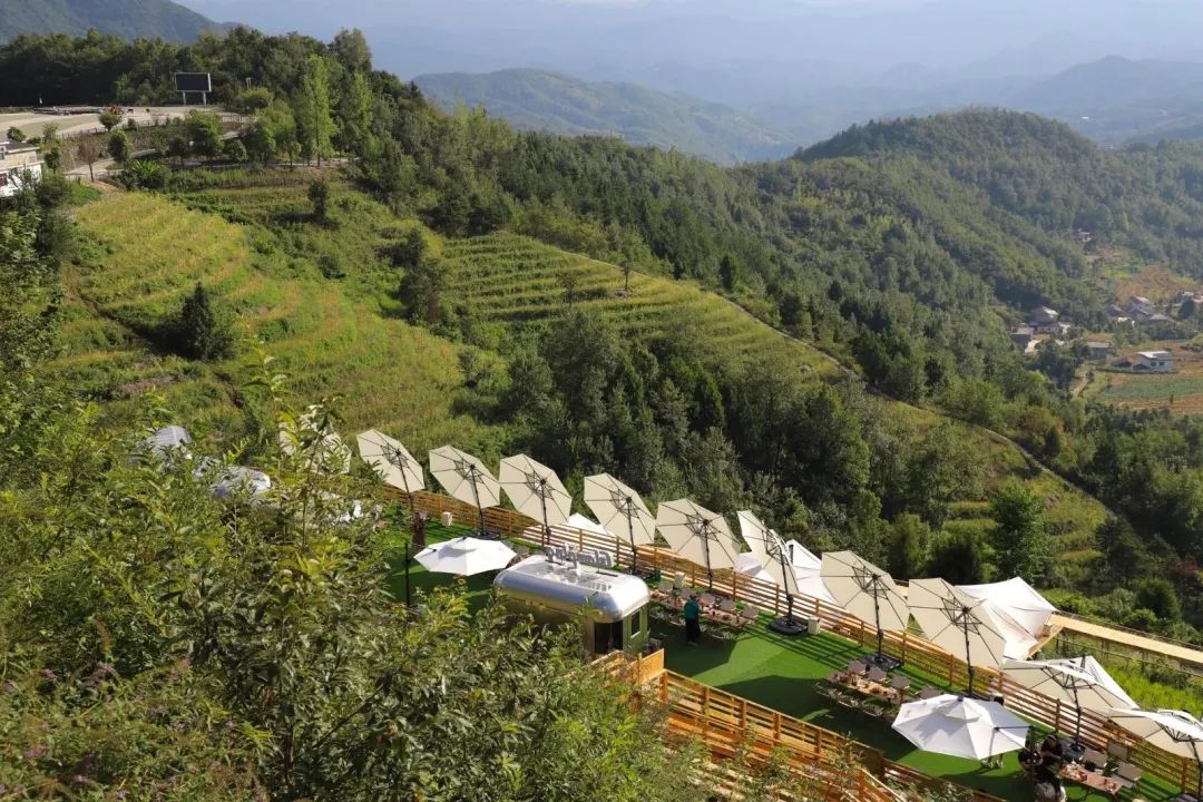 销售紫阳富硒茶的店铺（紫阳富硒茶的广告词）-硒宝网