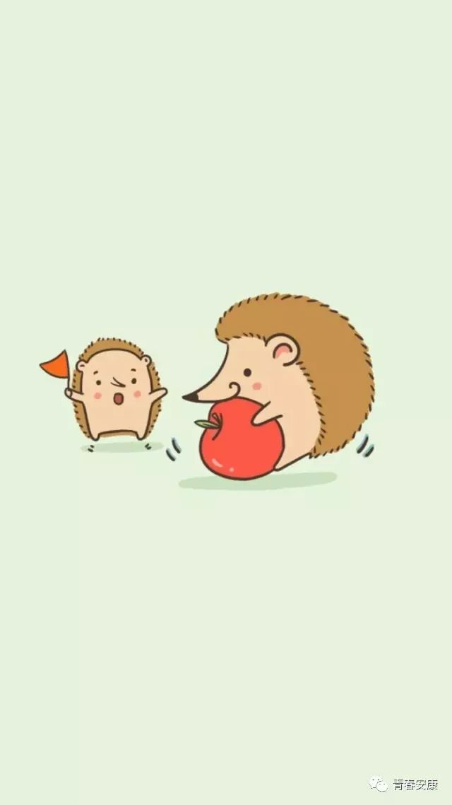 销售紫阳富硒茶的店铺(紫阳富硒茶加工工艺)-硒宝网