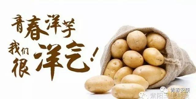 销售紫阳富硒茶的店铺(紫阳富硒茶加工工艺)-硒宝网