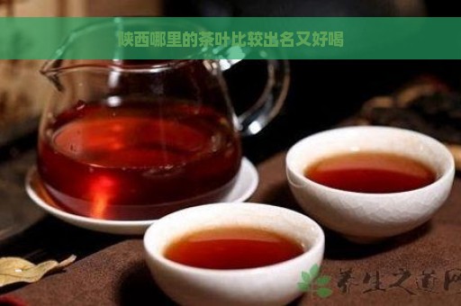 陕西富硒茶产地是哪里(陕西富硒茶多少钱一斤)-硒宝网