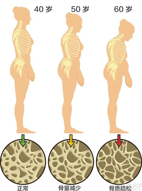 60岁怎么补钙效果最好（补钙效果好的是什么）-硒宝网