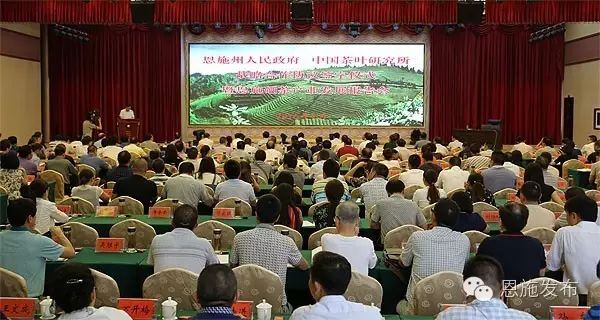 恩施富硒绿茶是什么茶(恩施绿茶硒茶品牌)-硒宝网