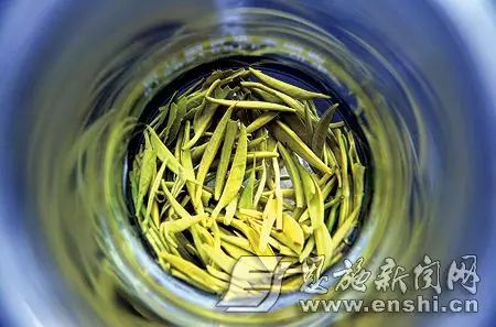 恩施富硒绿茶是什么茶(恩施绿茶硒茶品牌)-硒宝网