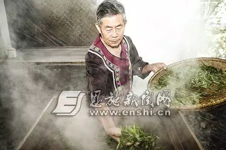 恩施富硒绿茶是什么茶(恩施绿茶硒茶品牌)-硒宝网