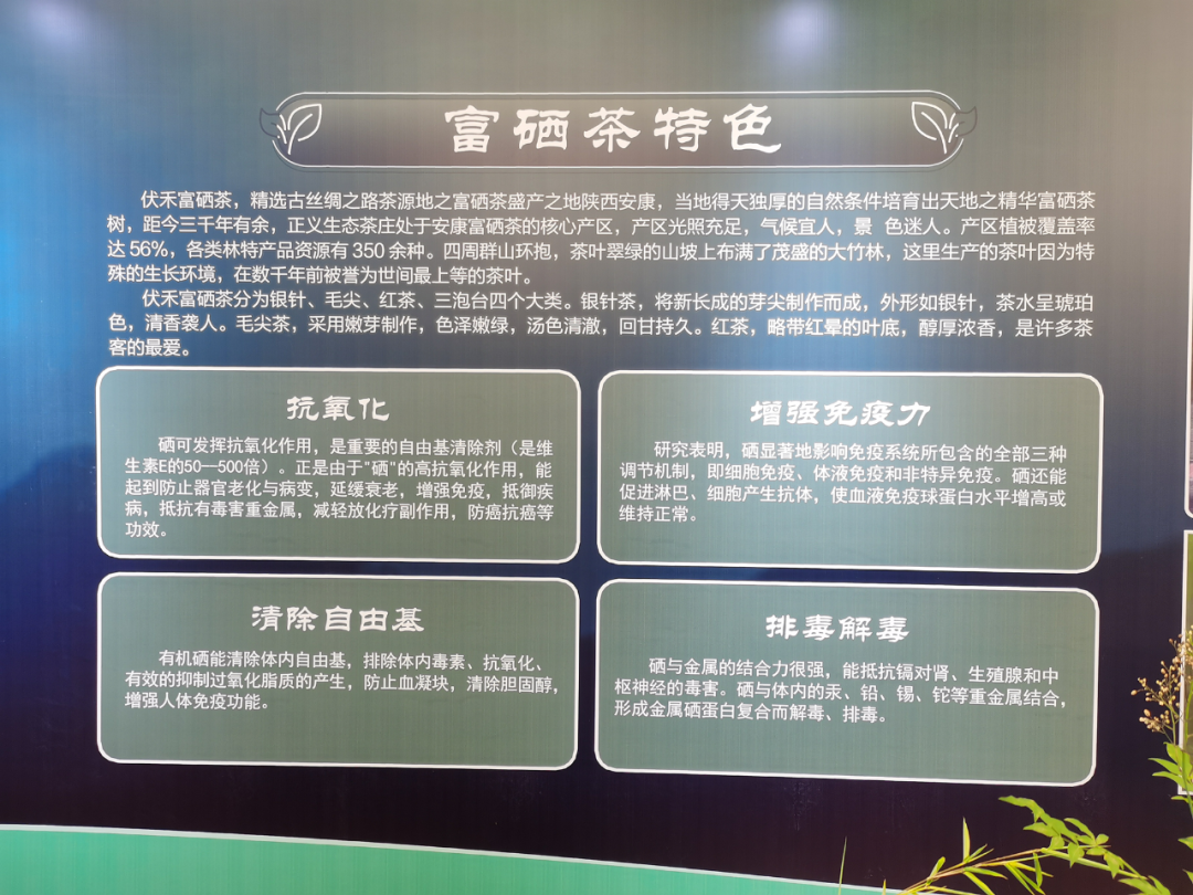 富硒茶生长环境是什么(富硒茶树)-硒宝网