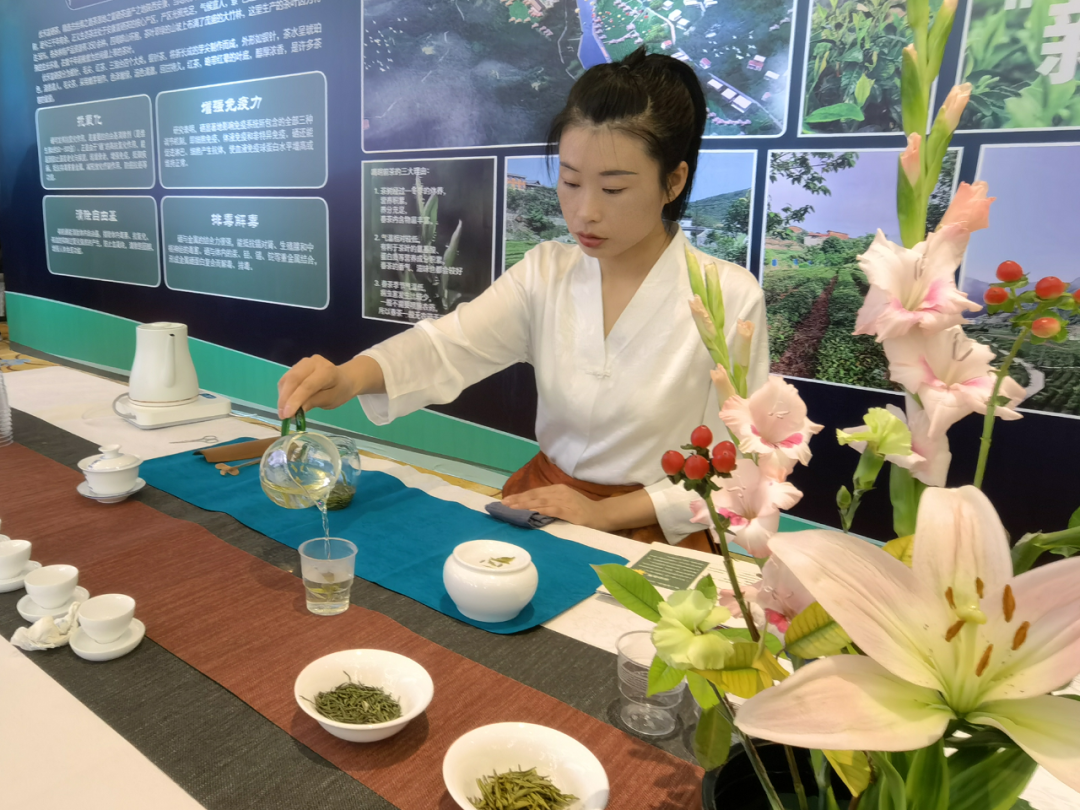 富硒茶生长环境是什么(富硒茶树)-硒宝网