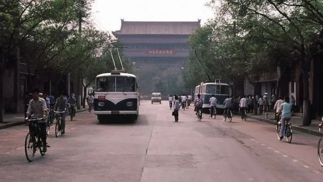 新茶紫阳富硒茶的价格（紫阳茶富硒茶礼盒装）-硒宝网