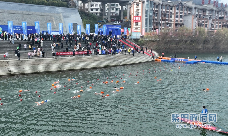 紫阳富硒茶县长来推介（紫阳富硒茶文化）-硒宝网