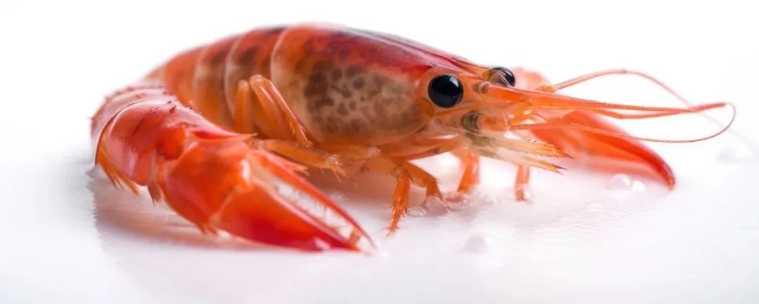 什么时间补钙最容易吸收(补钙最容易吸收的方式)-硒宝网