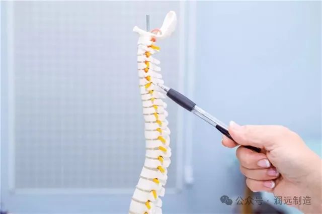 什么时间补钙最容易吸收(吸收补钙容易时间短吗)-硒宝网