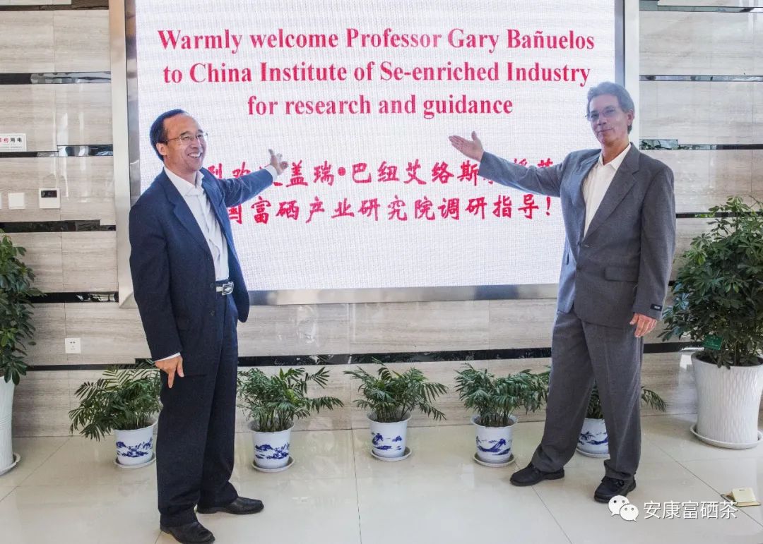 紫阳富硒茶治疗失眠吗（失眠茶治疗紫阳富硒的功效）-硒宝网