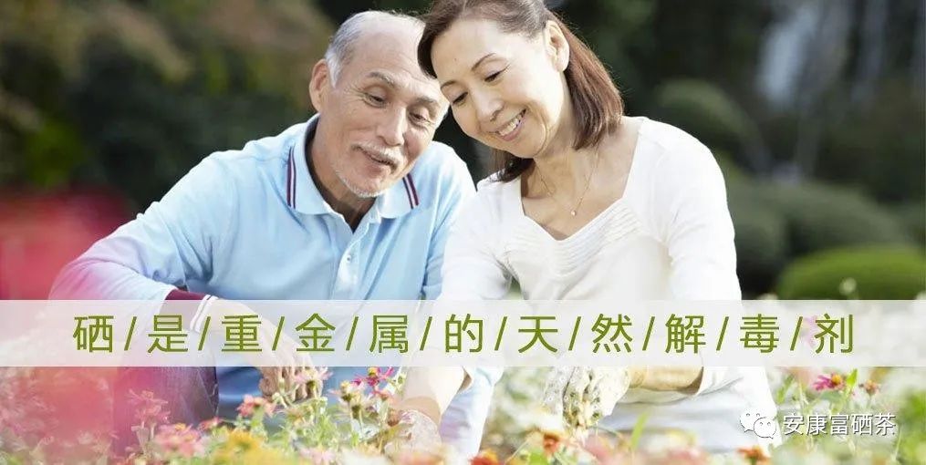 紫阳富硒茶治疗失眠吗（失眠茶治疗紫阳富硒的功效）-硒宝网