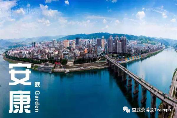 紫阳富硒茶元素含量表(紫阳茶叶含硒量)-硒宝网