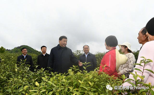 紫阳富硒茶元素含量表(紫阳茶叶含硒量)-硒宝网