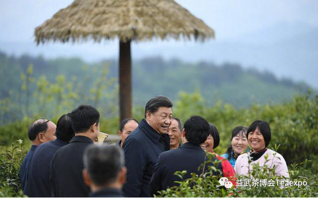 紫阳富硒茶元素含量表(紫阳茶叶含硒量)-硒宝网