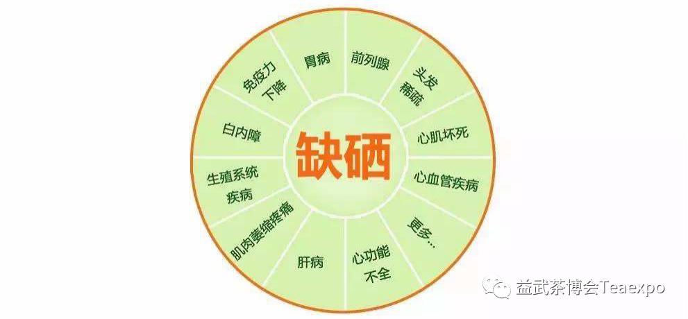 紫阳富硒茶元素含量表(紫阳茶叶含硒量)-硒宝网