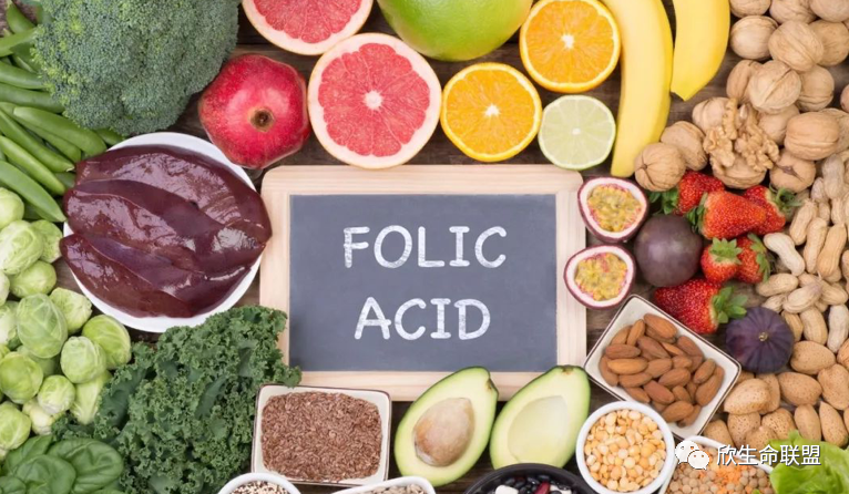 怀孕几个月查微量元素（怀孕查微量元素月经不正常）-硒宝网