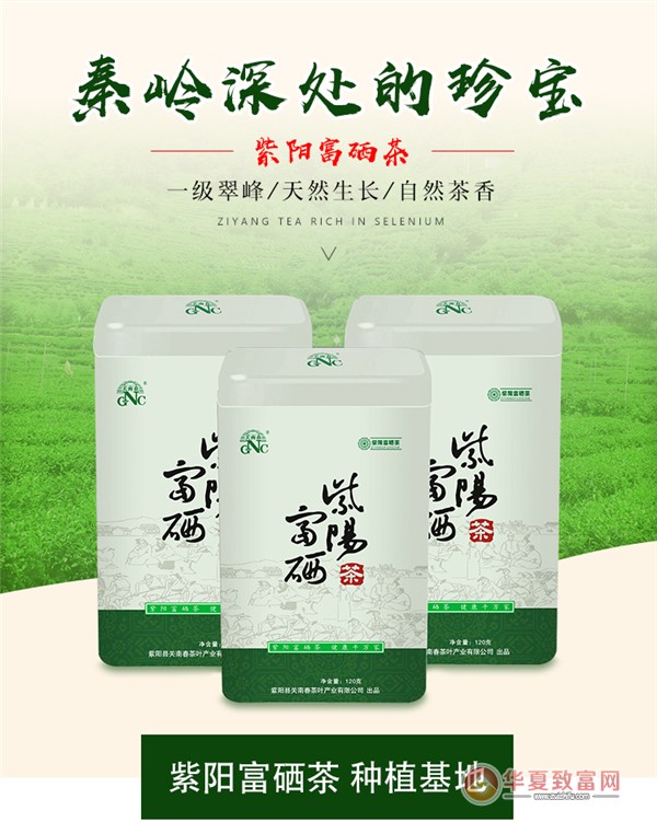 紫阳富硒茶生意如何样（紫阳富硒茶叶）-硒宝网