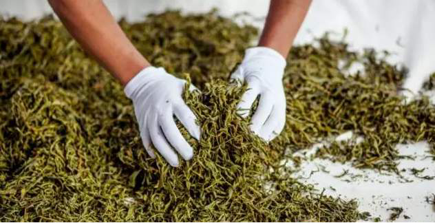 湖北有名的恩施富硒茶(湖北的恩施富硒茶厂)-硒宝网