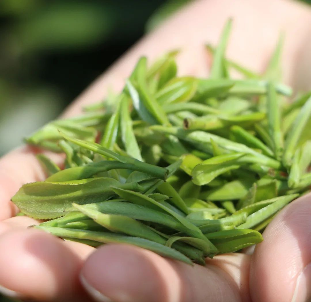 湖北有名的恩施富硒茶(湖北的恩施富硒茶厂)-硒宝网