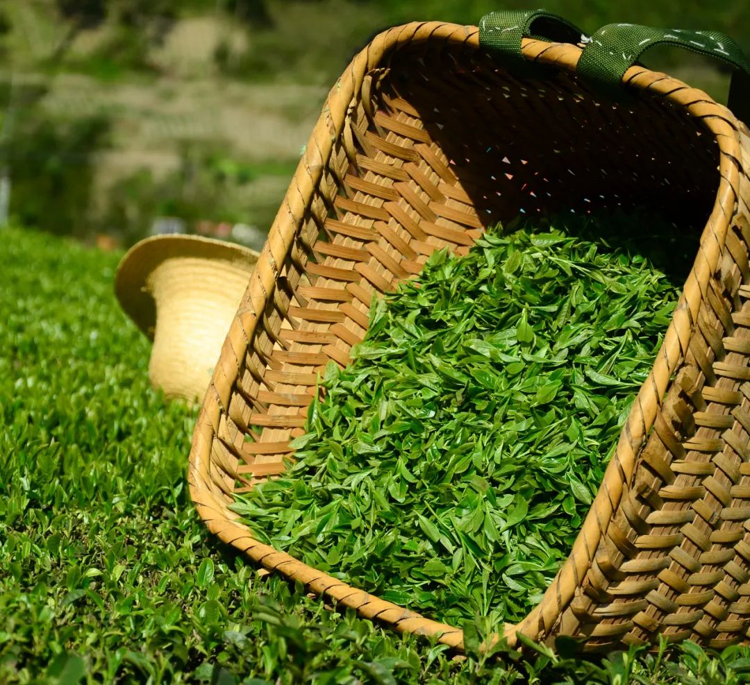 湖北有名的恩施富硒茶(湖北的恩施富硒茶厂)-硒宝网