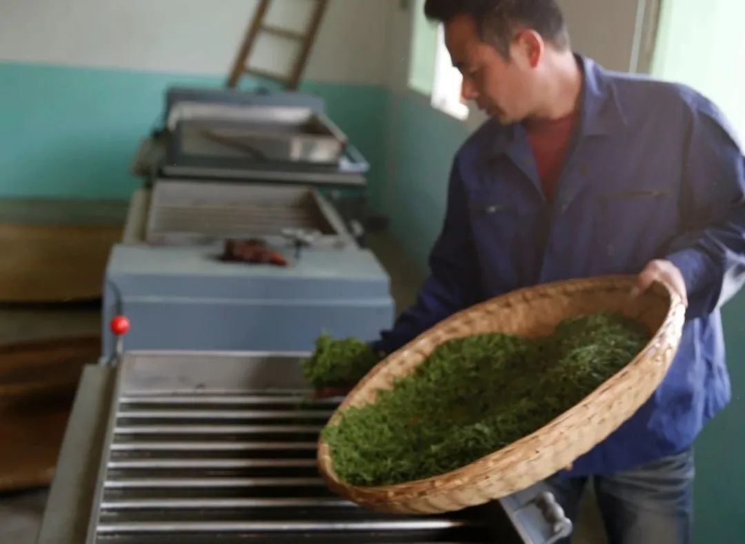 紫阳富硒茶生执行标准（紫阳富硒茶等级）-硒宝网