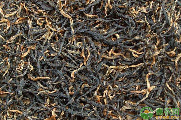 富硒茶的功效价格作用(茶叶富硒)-硒宝网