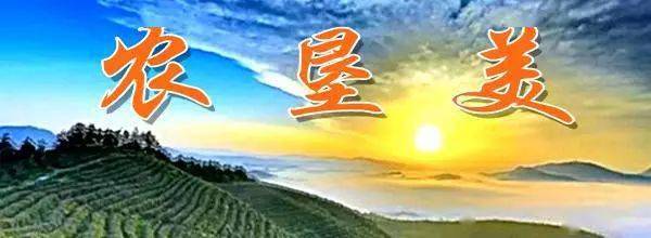 富硒茶公司使命是什么（富硒茶公司使命是什么）-硒宝网