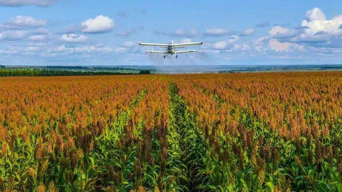 富硒茶公司使命是什么（富硒茶公司使命是什么）-硒宝网