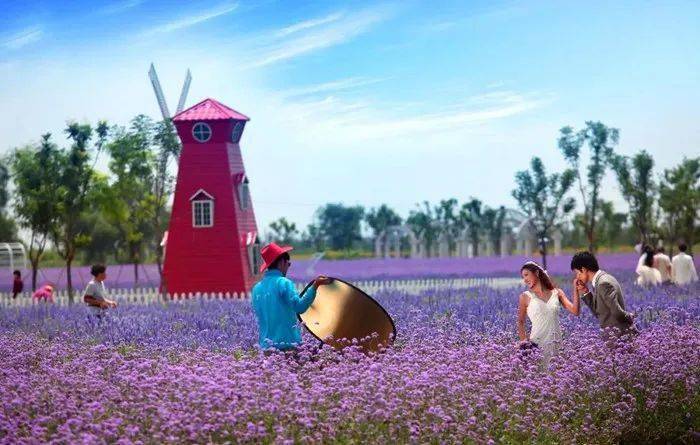 富硒茶公司使命是什么（富硒茶公司使命是什么）-硒宝网