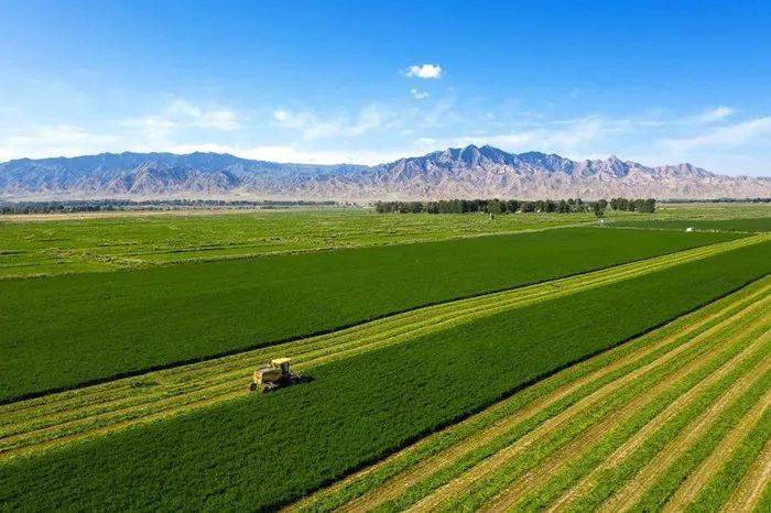 富硒茶公司使命是什么（富硒茶公司使命是什么）-硒宝网