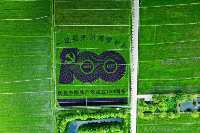 富硒茶公司使命是什么（富硒茶公司使命是什么）-硒宝网